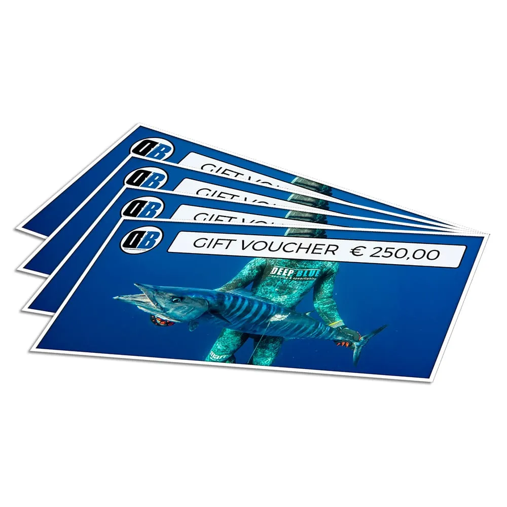 VOUCHER 250